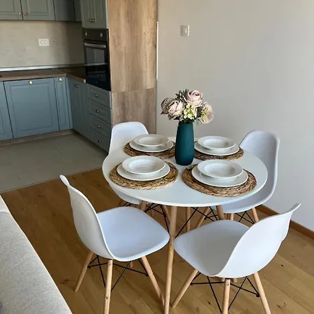 Plava Zvezda Centar Free Garage Novi Sad