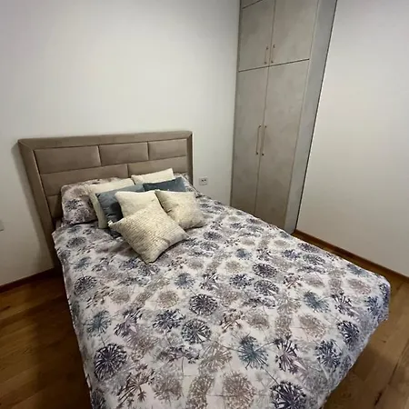 Plava Zvezda Centar Free Garage